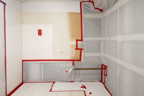 Best Biohazard Mold Removal  in Desert Aire, WA