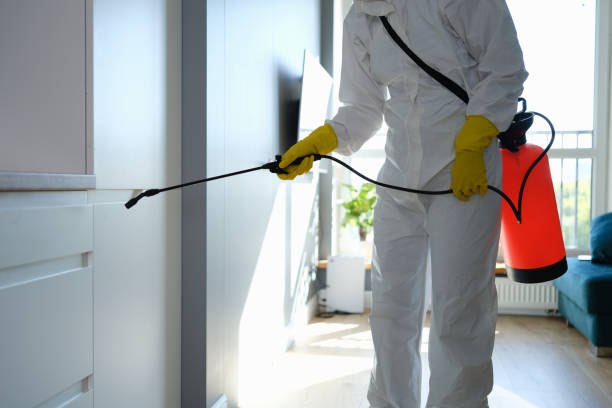 Best Commercial Mold Inspection  in Desert Aire, WA